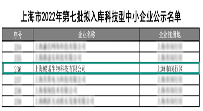 【喜讯】再添荣耀勋章 上海鲲诺荣获“科技型中小企业”认定